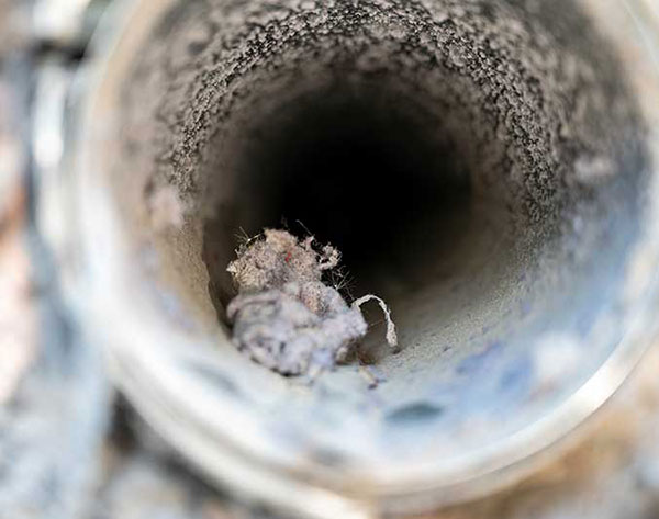 Dryer-Vent-Lint